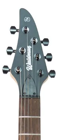GUITARRA WALDMAN GTE 400 BKS PRETO