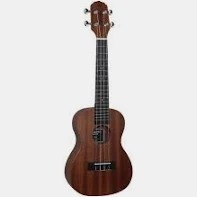 UKULELE GIANNINI CONCERT ACÚSTICO C/BAG WS SAPELE GUK23